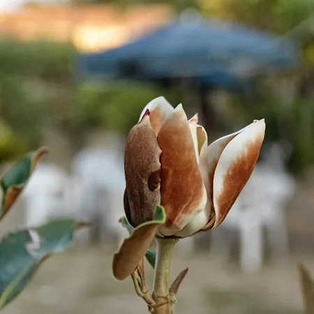 Kloudas